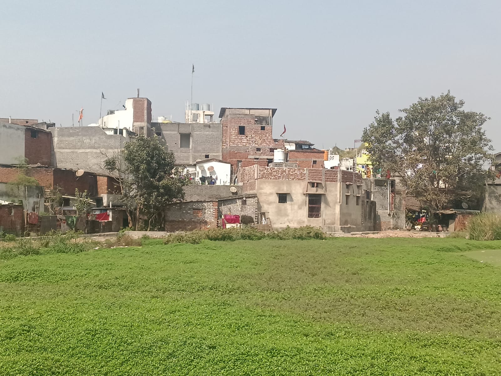 सर्वोदय तालाब पर बढ़ते अतिक्रमण को लेकर ग्रीन आर्मी संस्था ने उठाई आवाज।